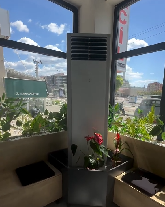 Anka Hayvan Hastanesi